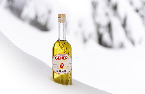 genepi alpes - liquor genepi