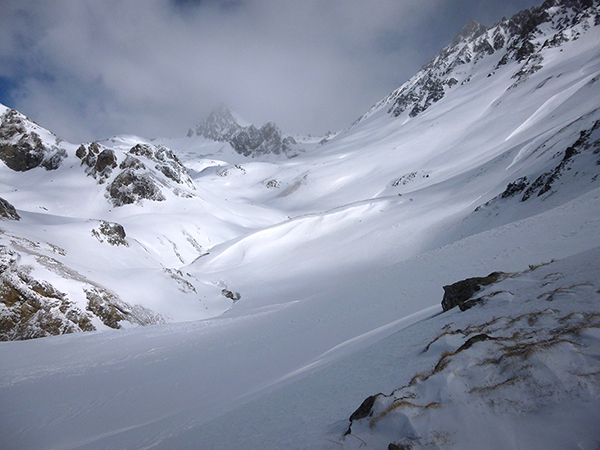 8 choses à savoir sur le génépi de nos montagnes - Dolin